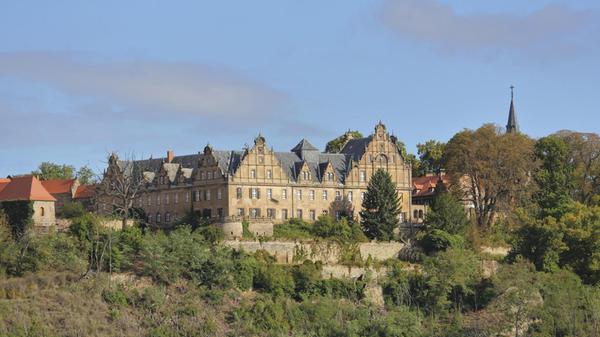 Das verlassenen Schloss Vitzenburg befindet sich in Querfurt in Sachsen-Anhalt. Erbaut wurde es im späten 17. Jahrhundert. Heute befindet es sich in Privatbesitz. Führungen werden nicht angeboten. Doch Schloss Vitzenburg ist weit über die Grenzen von Querfurt hinaus bekannt. In den historischen Gemäuern wurden zuletzt zwei Filme aus der neuaufgelegten "Bibi und Tina"-Reihe gedreht.