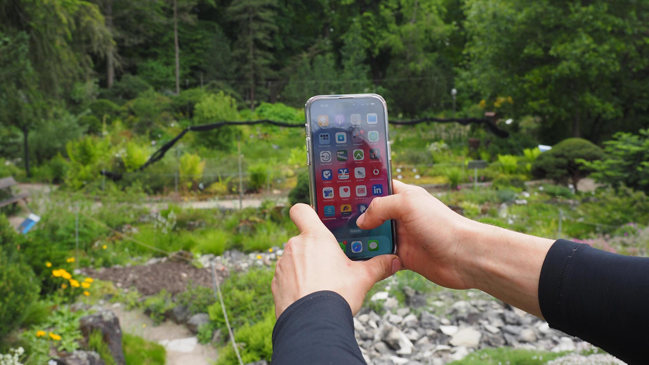 City Nature Challenge