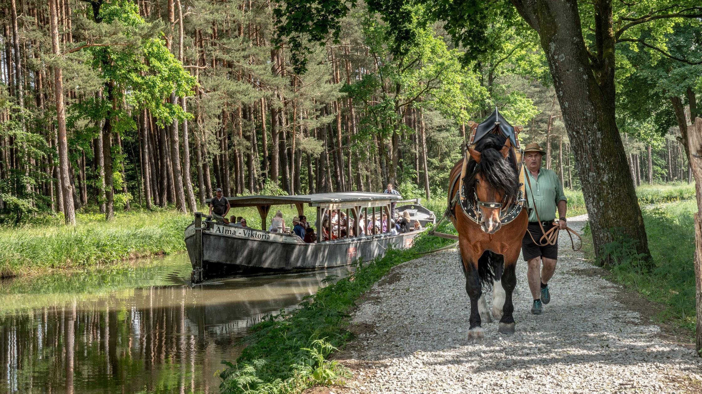 Mit etwas Glück begegnet man im Sommer sogar einem