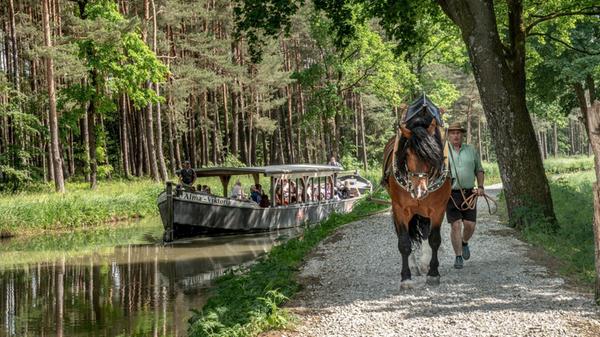 Mit etwas Glück begegnet man im Sommer sogar einem