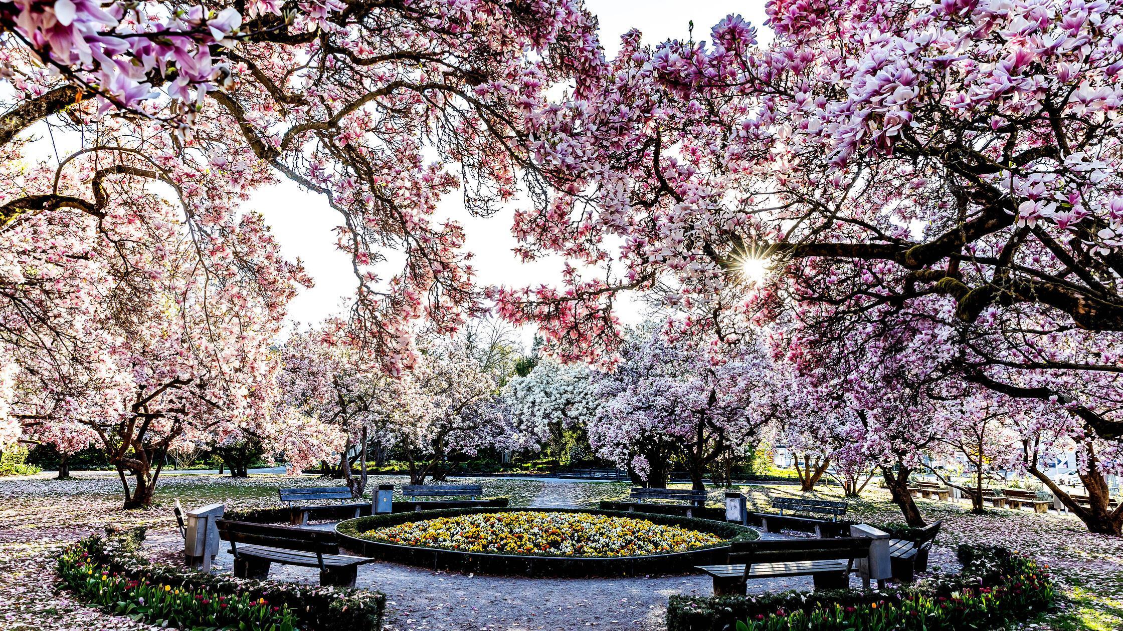 06.04.2025 - Impression: Erste Sonnenstrahlen am f