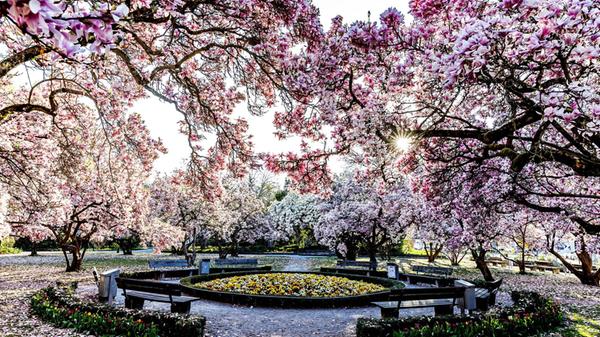 06.04.2025 - Impression: Erste Sonnenstrahlen am f