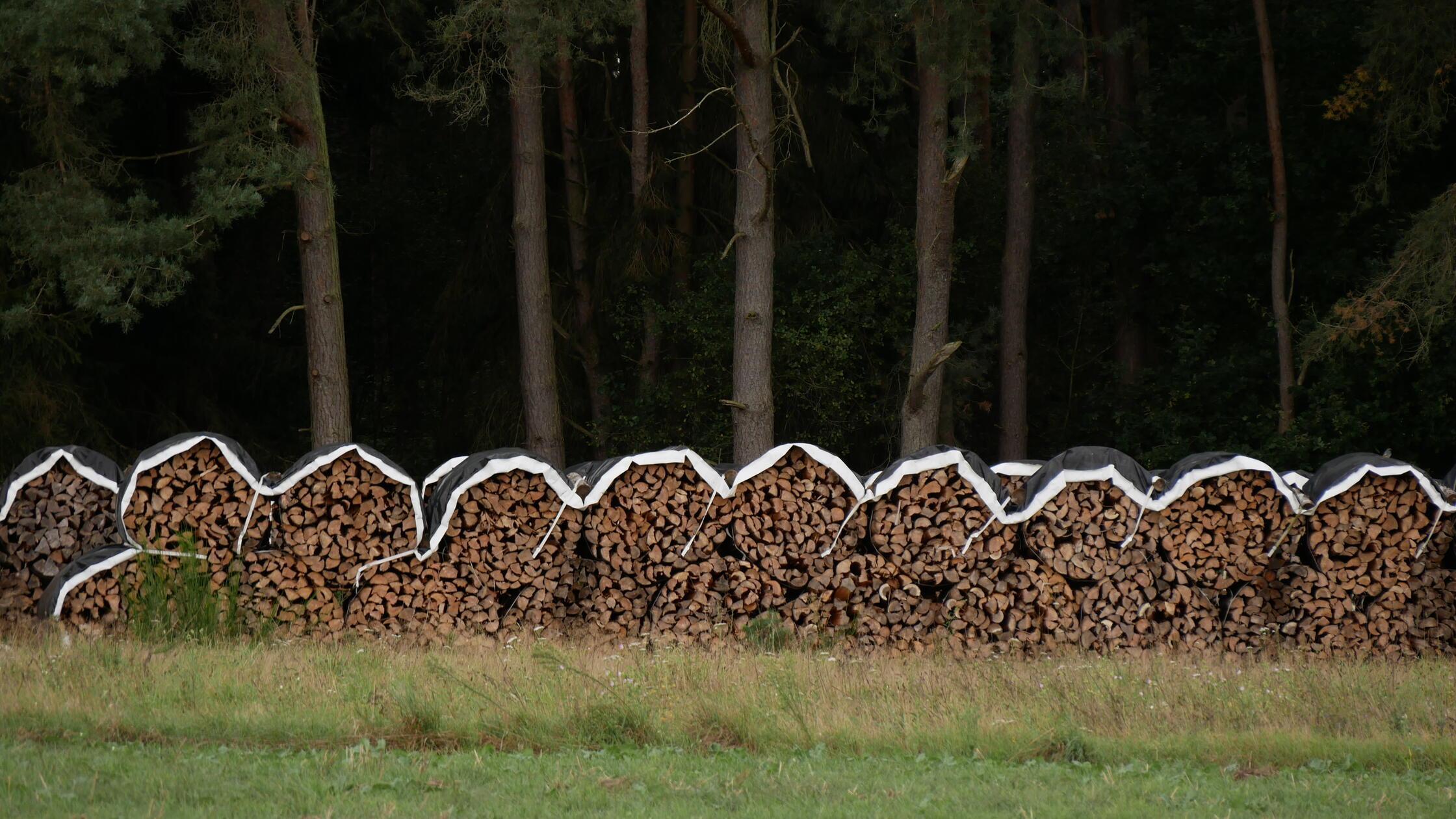 Holzstoß mit Häubchen VÖ 17.9. ST