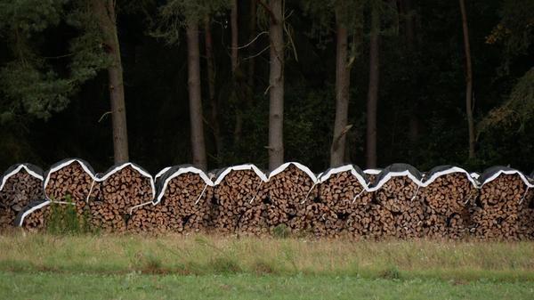 Holzstoß mit Häubchen VÖ 17.9. ST