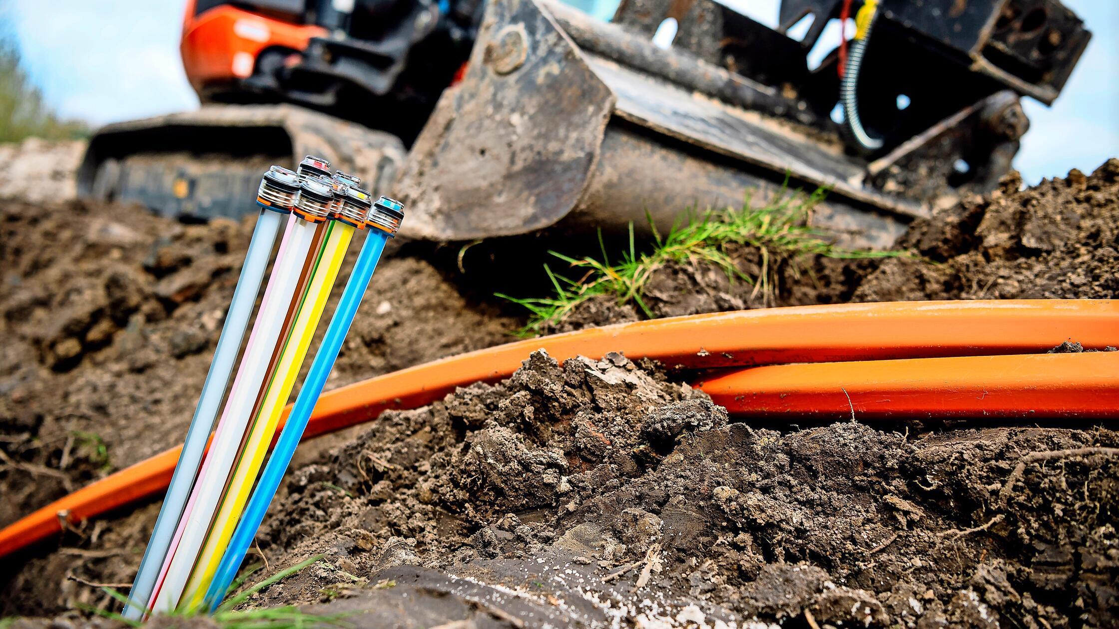 Rn9YX7zq9oSIHLddWKL8vWJ