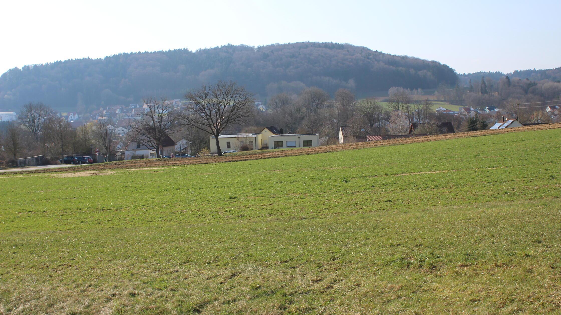 Für das geplante Baugebiet "Hofäcker" in Pilsach b