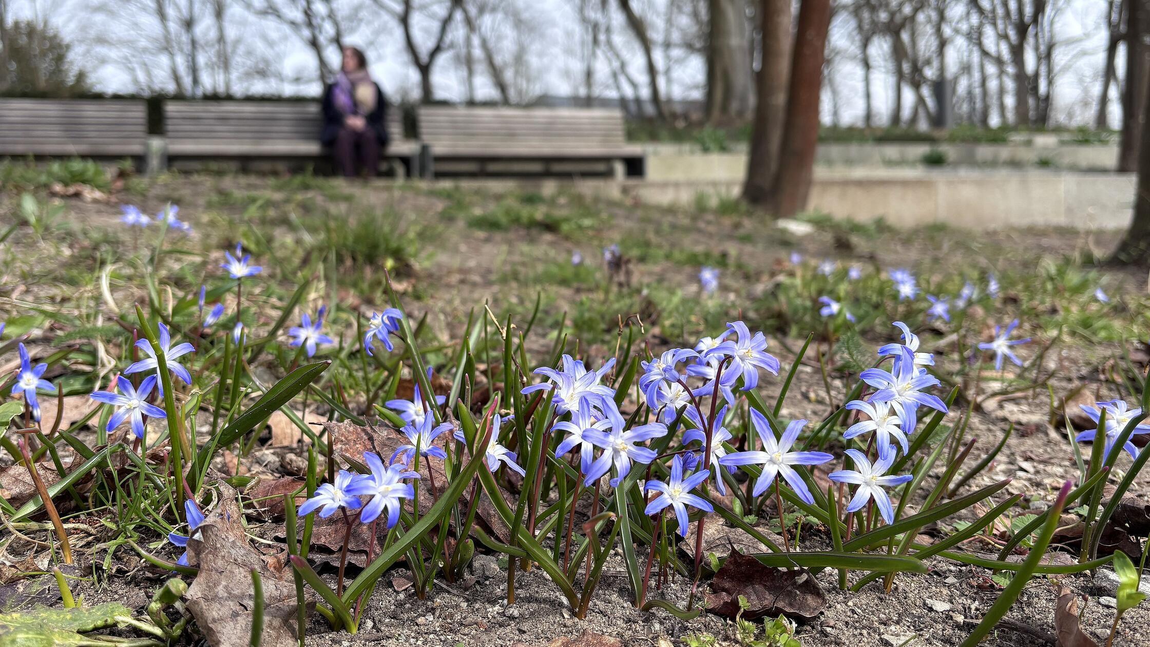 Stadtpark_Neumarkt_Umgestaltung