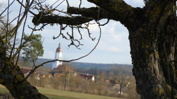 Weiher in der Nähe von Freystadt, fotografiert von unserer Leserin Rosy Treu.