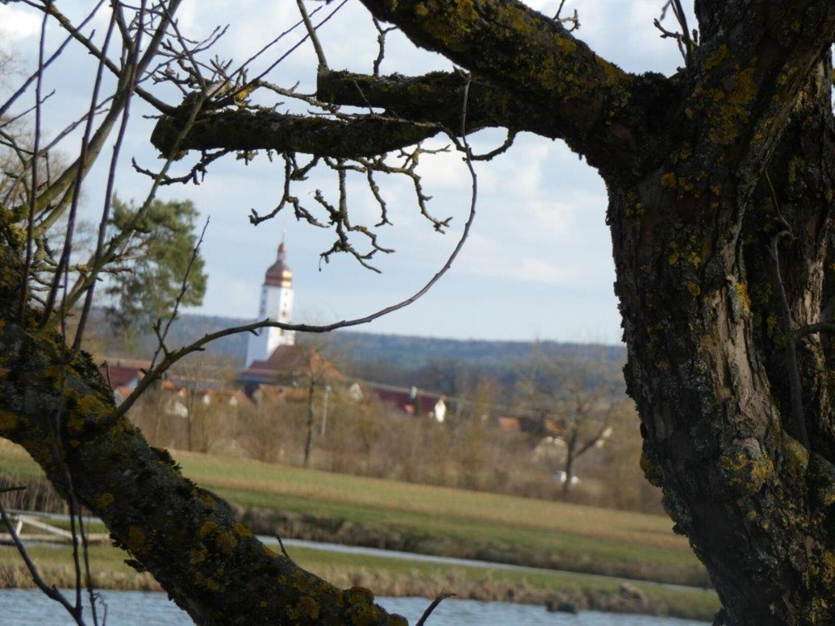 Weiher in der Nähe von Freystadt, fotografiert von unserer Leserin Rosy Treu.