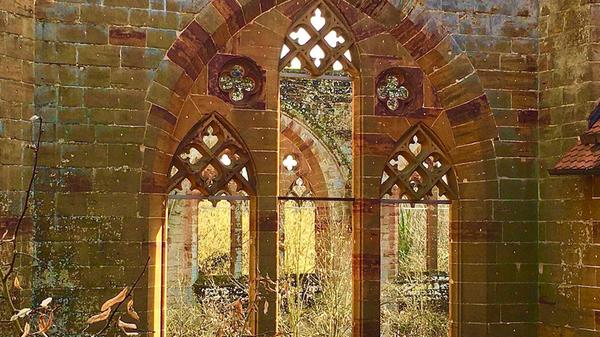 Die Klosterruine Gnadenberg wird von der Märzsonne angeleuchtet, fotografiert von unserem Leser Michael Haas.