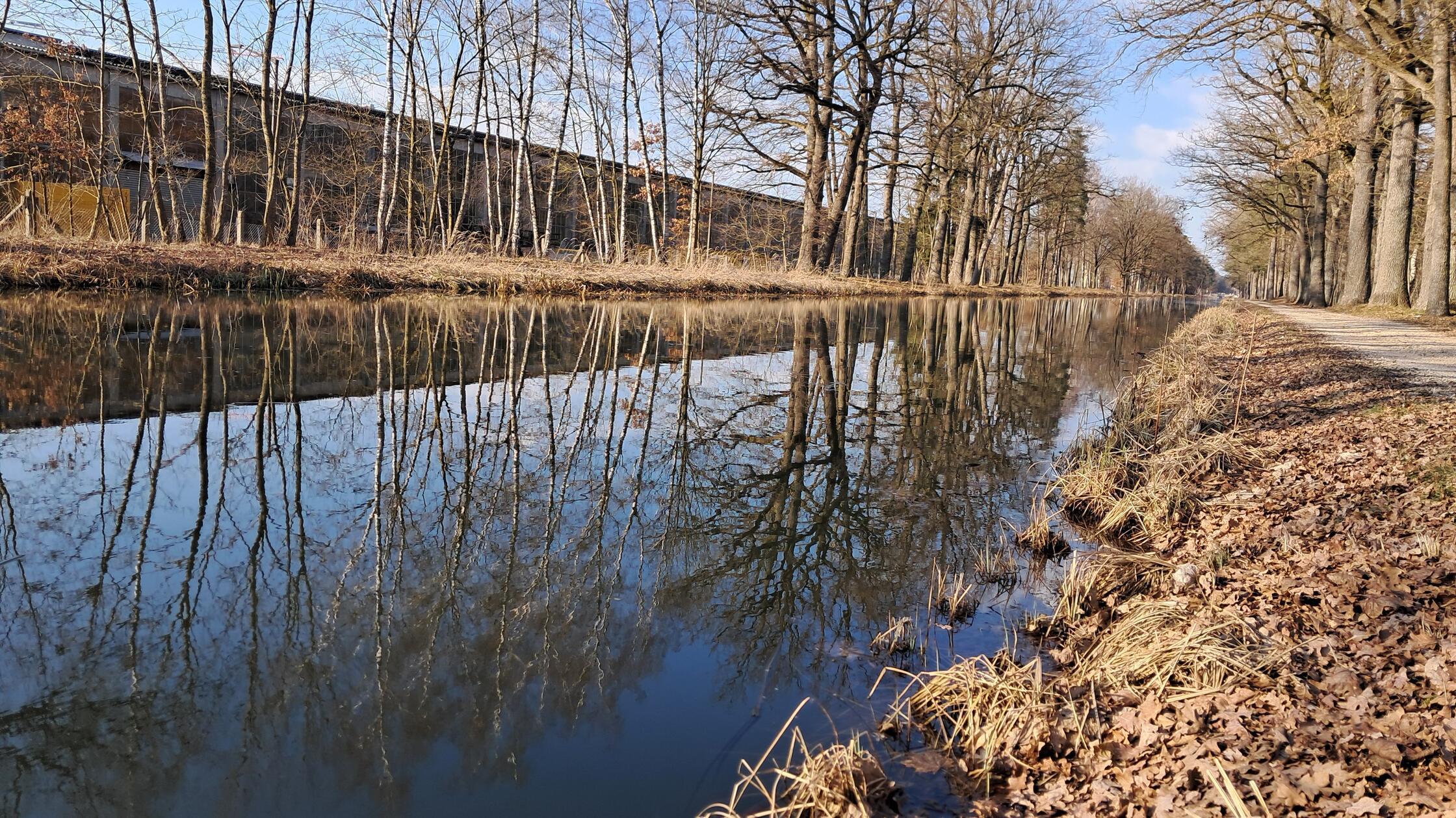 Dieses "Spiegelbild" hat unser Leser Kurt Volk in der Nähe von Sengenthal gemacht.