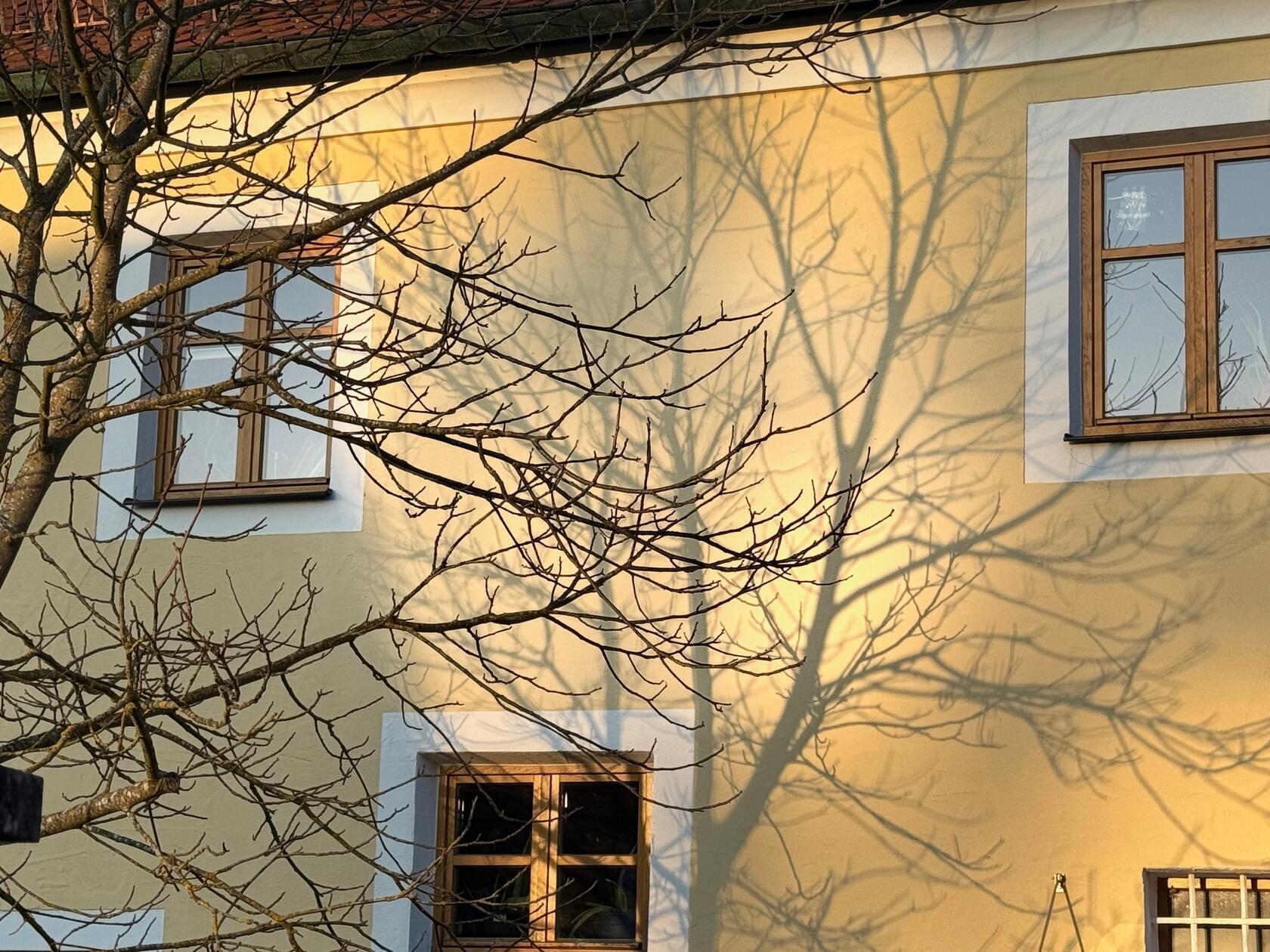 Dieses Schattenspiel konnte unsere Leserin Heidi Kostic einfangen.