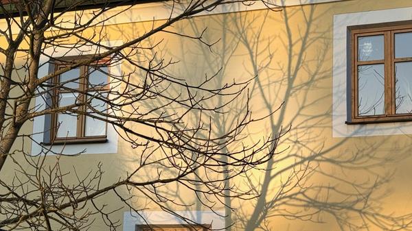 Dieses Schattenspiel konnte unsere Leserin Heidi Kostic einfangen.