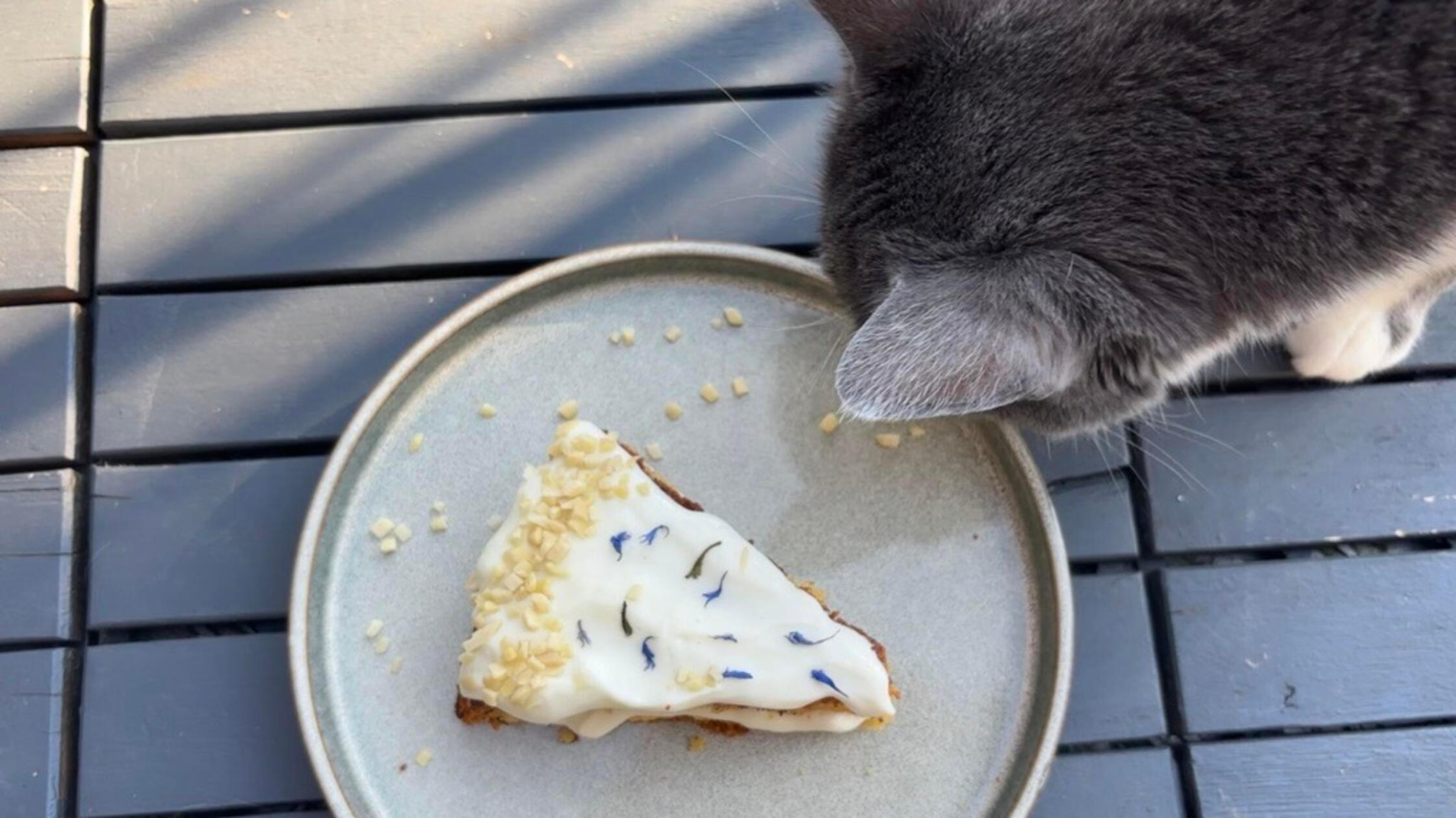 Karottenkuchen