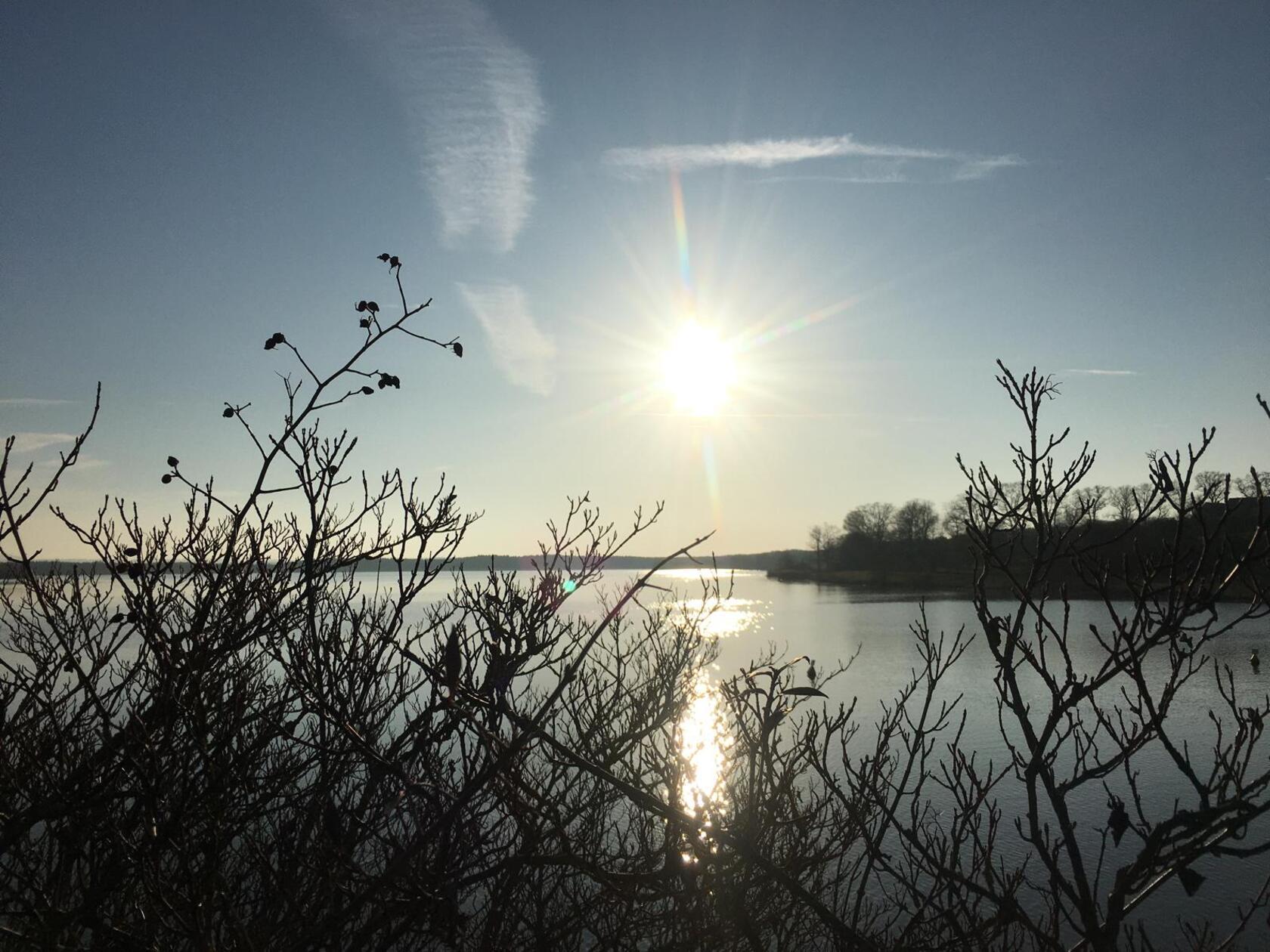 Blendende Nachmittagssonne über und im Rothsee bei angenehmen Frühlingstemperaturen.