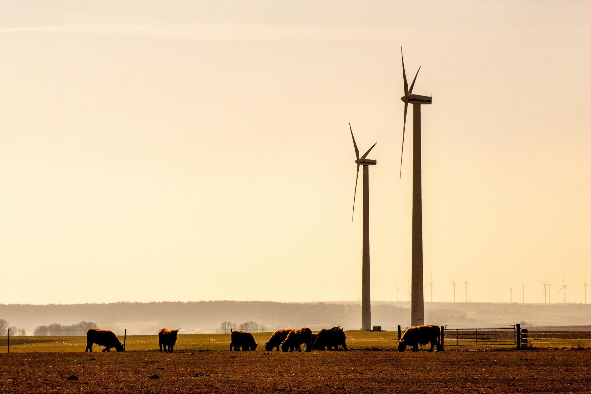 Windräder auf der Fränkischen Alb.