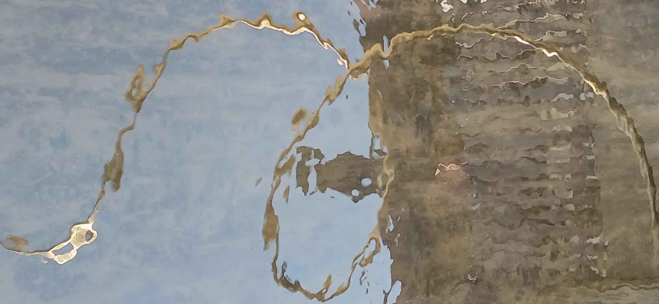 "Schwabacher Goldwasser" gesehen am Fritz-Tratz-Weg in Schwabach.