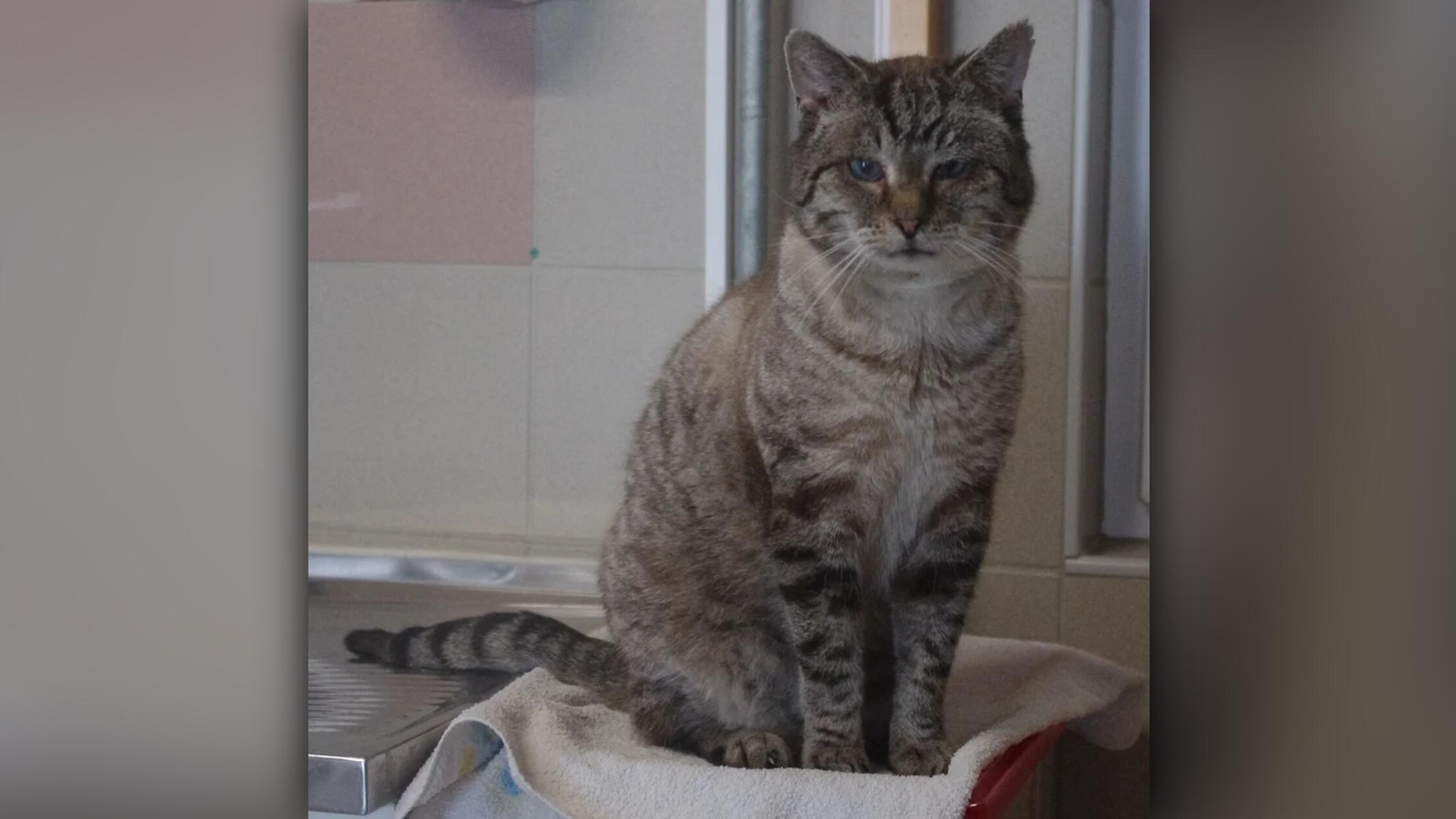 2026-03-24_14-10_bild_erweitern