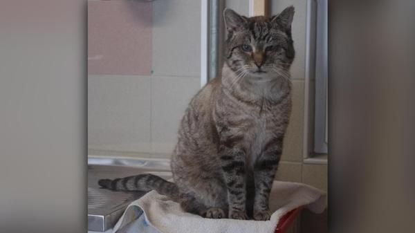 2026-03-24_14-10_bild_erweitern