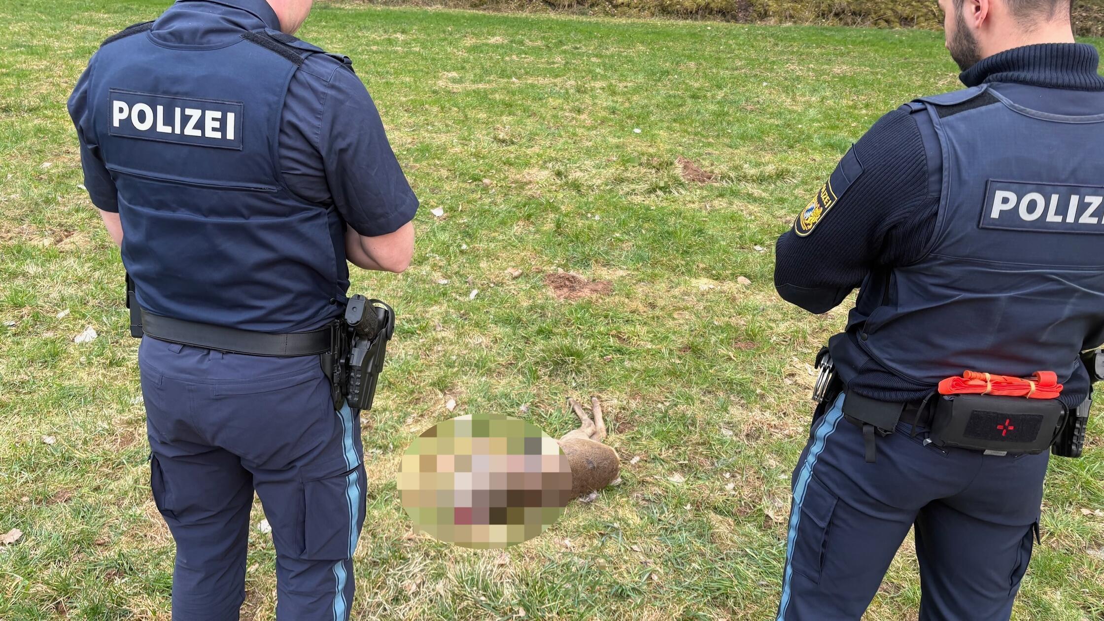 Wilderei Kammerstein