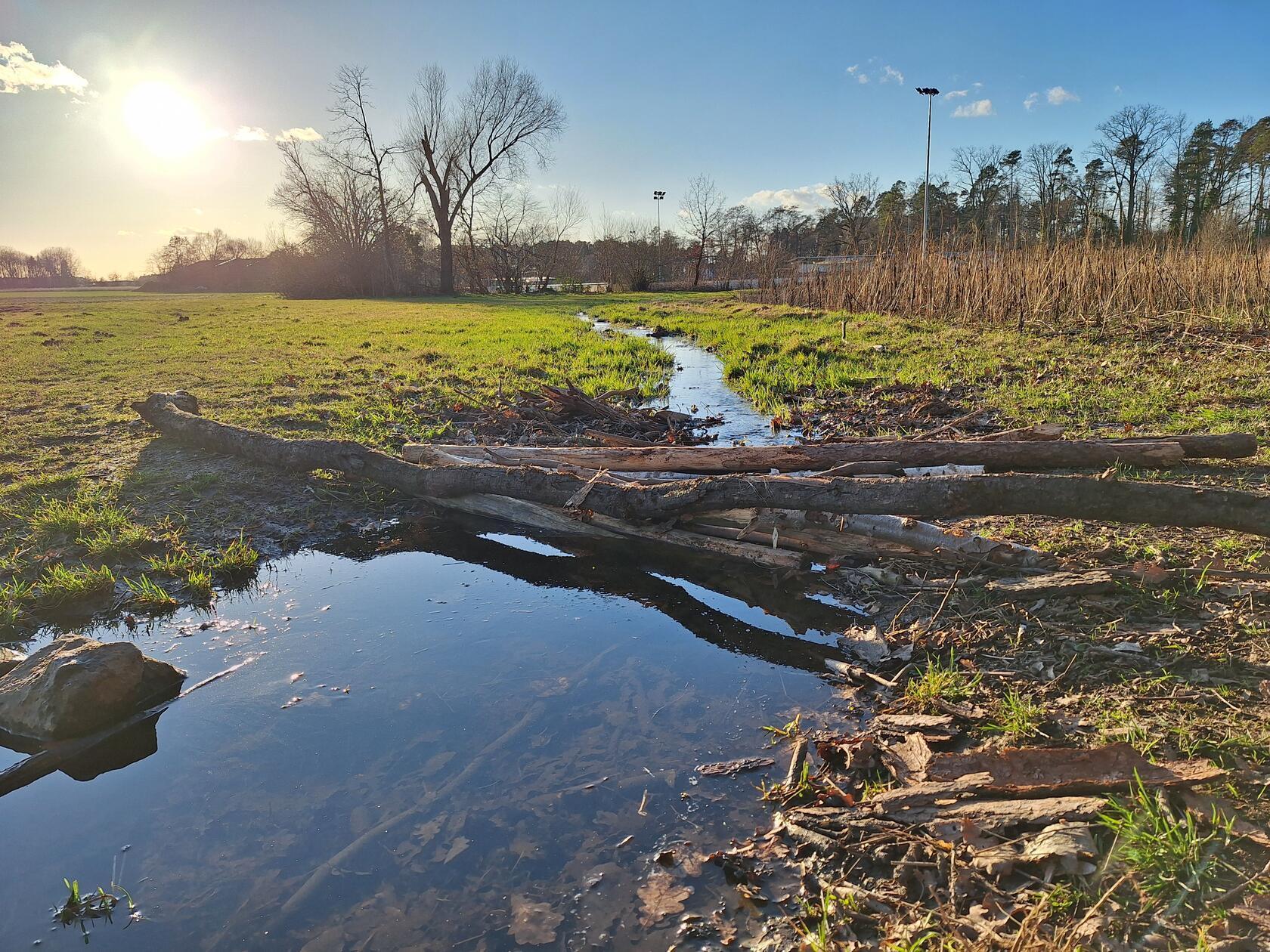 Ein origineller Steg über einen Wässerungsgrabe bei Grossschwarzenlohe.