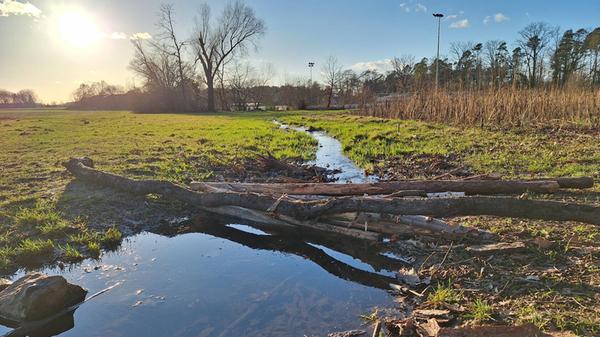 Ein origineller Steg über einen Wässerungsgrabe bei Grossschwarzenlohe.