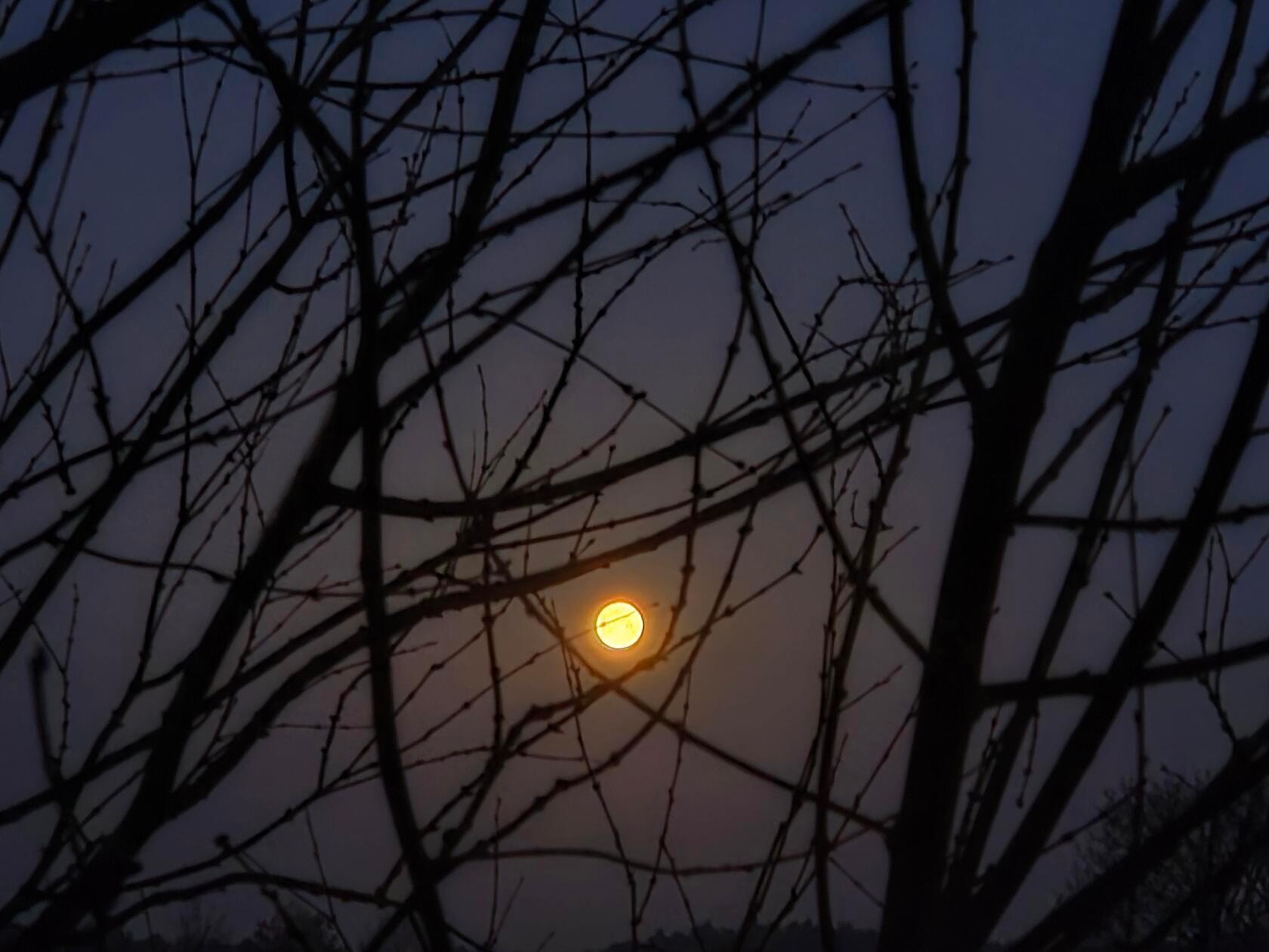 Der frühe Vogel.... oder der Frühaufsteher sieht in Wallesau noch den Mond. 