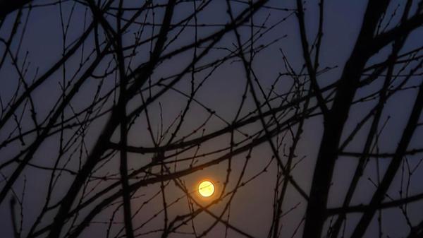 Der frühe Vogel.... oder der Frühaufsteher sieht in Wallesau noch den Mond.