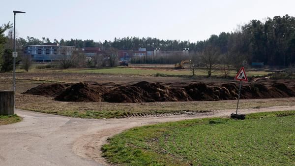 Leider sind viele Bäume und Sträucher vor der Rother Kreisklinik gefällt worden.