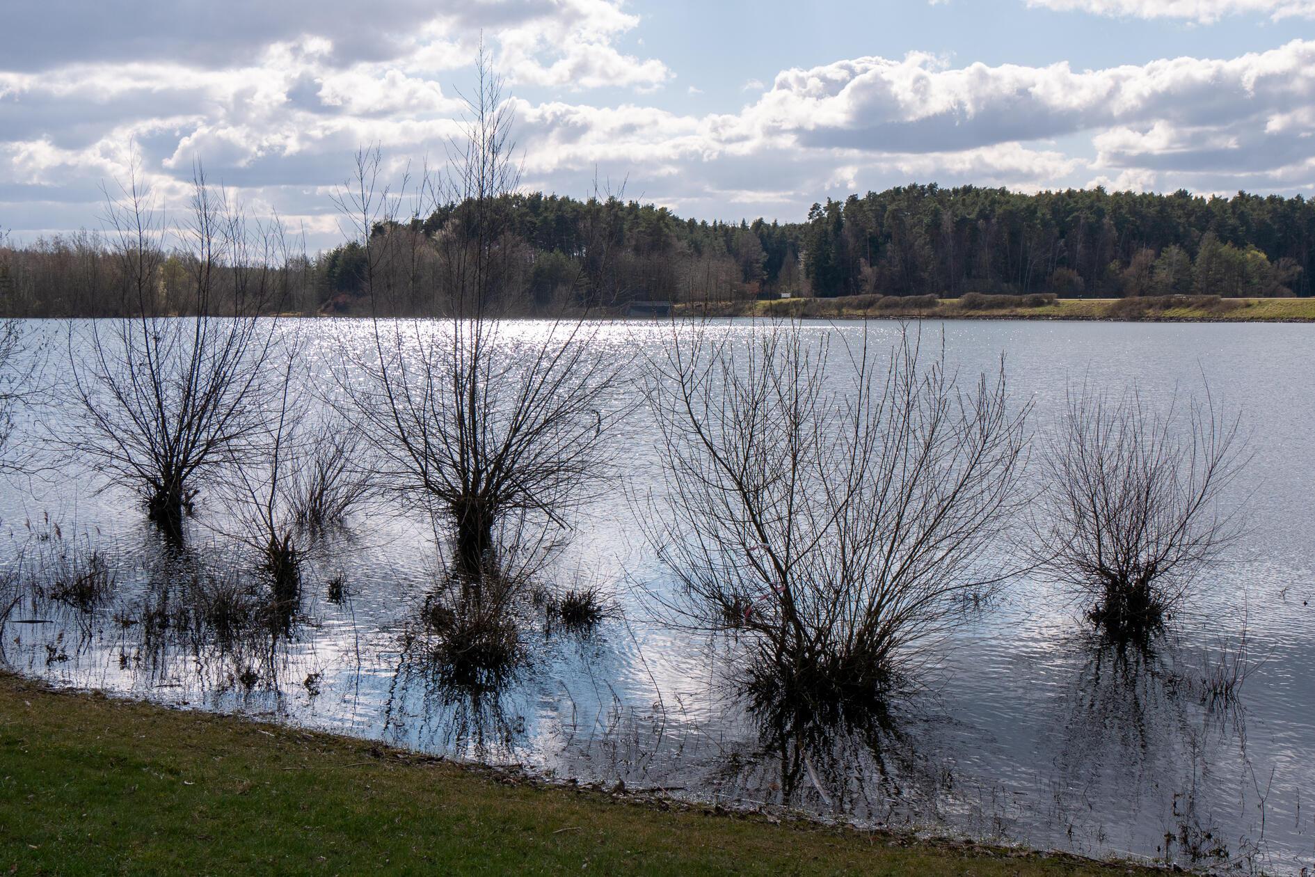 Der große Brombachsee ist wieder randvoll, wie hier bei Enderndorf.