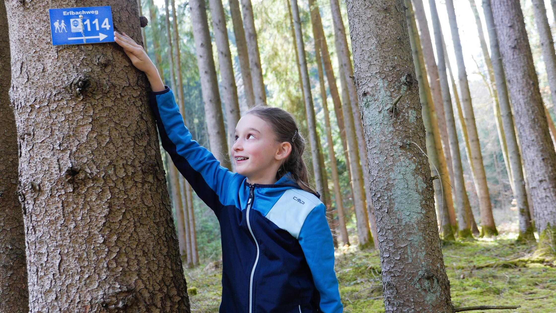 Auf ins Quellgebiet des Erlbach: Fünf Kilometer la