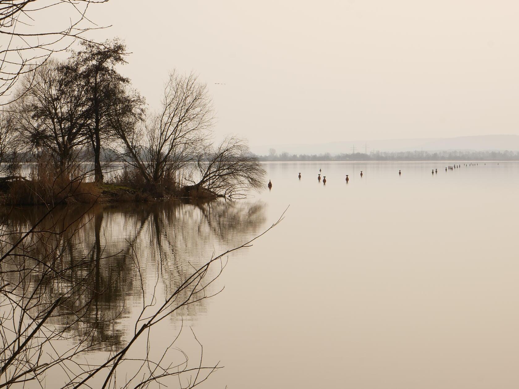 Der Altmühlsee ganz beschaulich und stll.