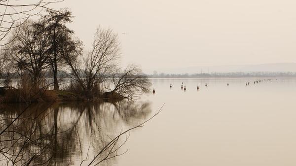 Der Altmühlsee ganz beschaulich und stll.