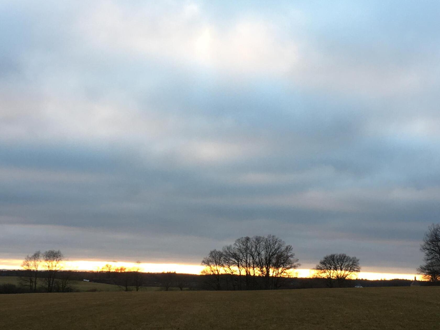 Bäume und Turm der St. Vitus-Kirche, Altenfelden in der Abenddämmerung bei dunkelblauem Himmel mit Wolken.