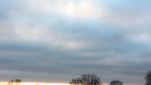 Bäume und Turm der St. Vitus-Kirche, Altenfelden in der Abenddämmerung bei dunkelblauem Himmel mit Wolken.