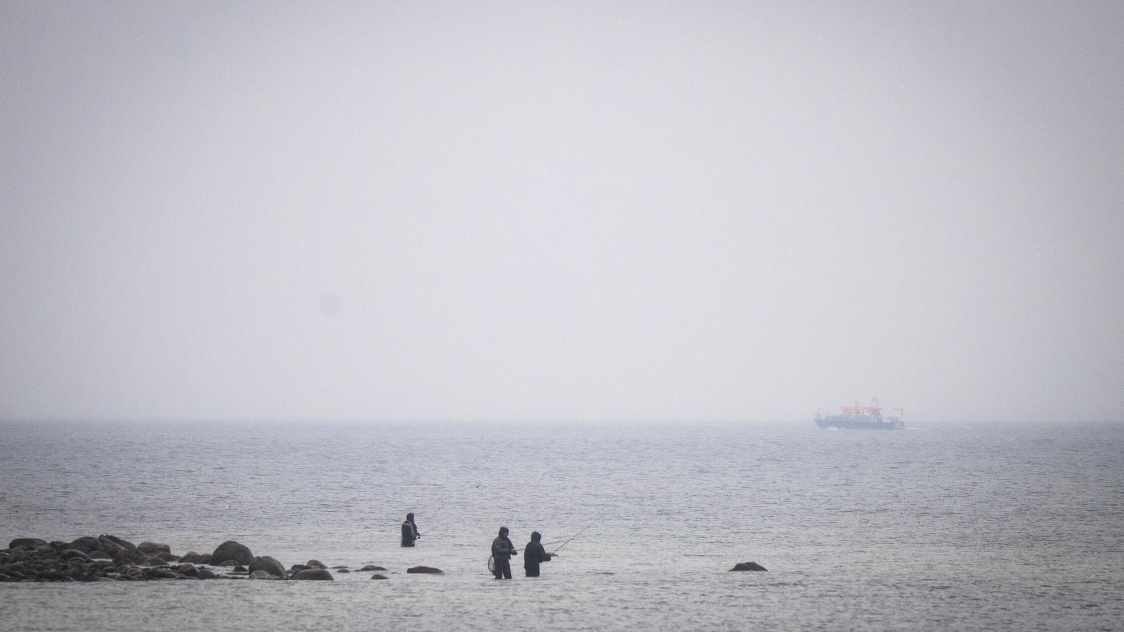 28.03.2026, Mecklenburg-Vorpommern, Boltenhagen: D