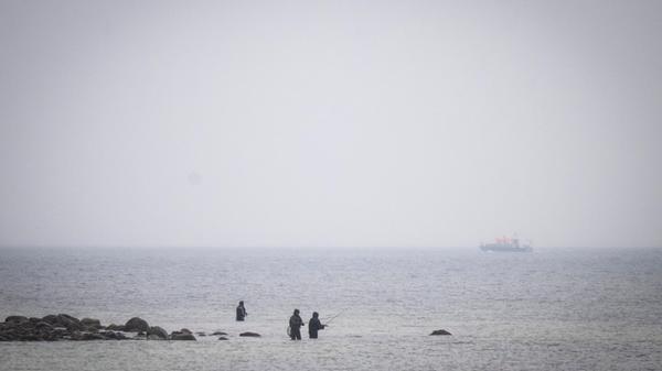 28.03.2026, Mecklenburg-Vorpommern, Boltenhagen: D