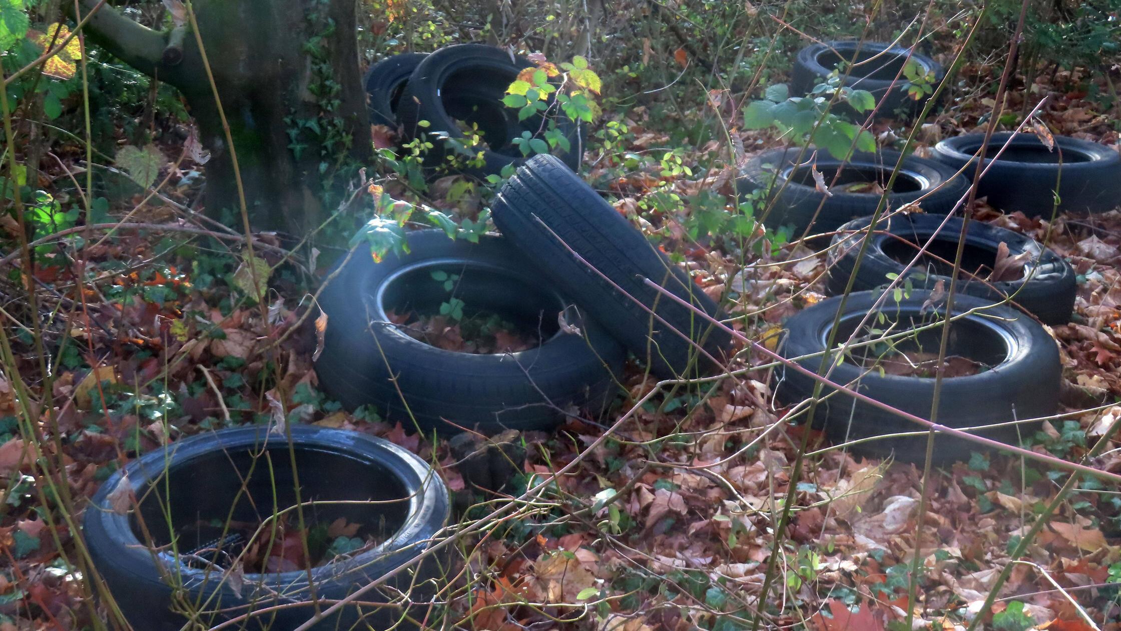 Altreifen Lager in Parkanlage - illegal