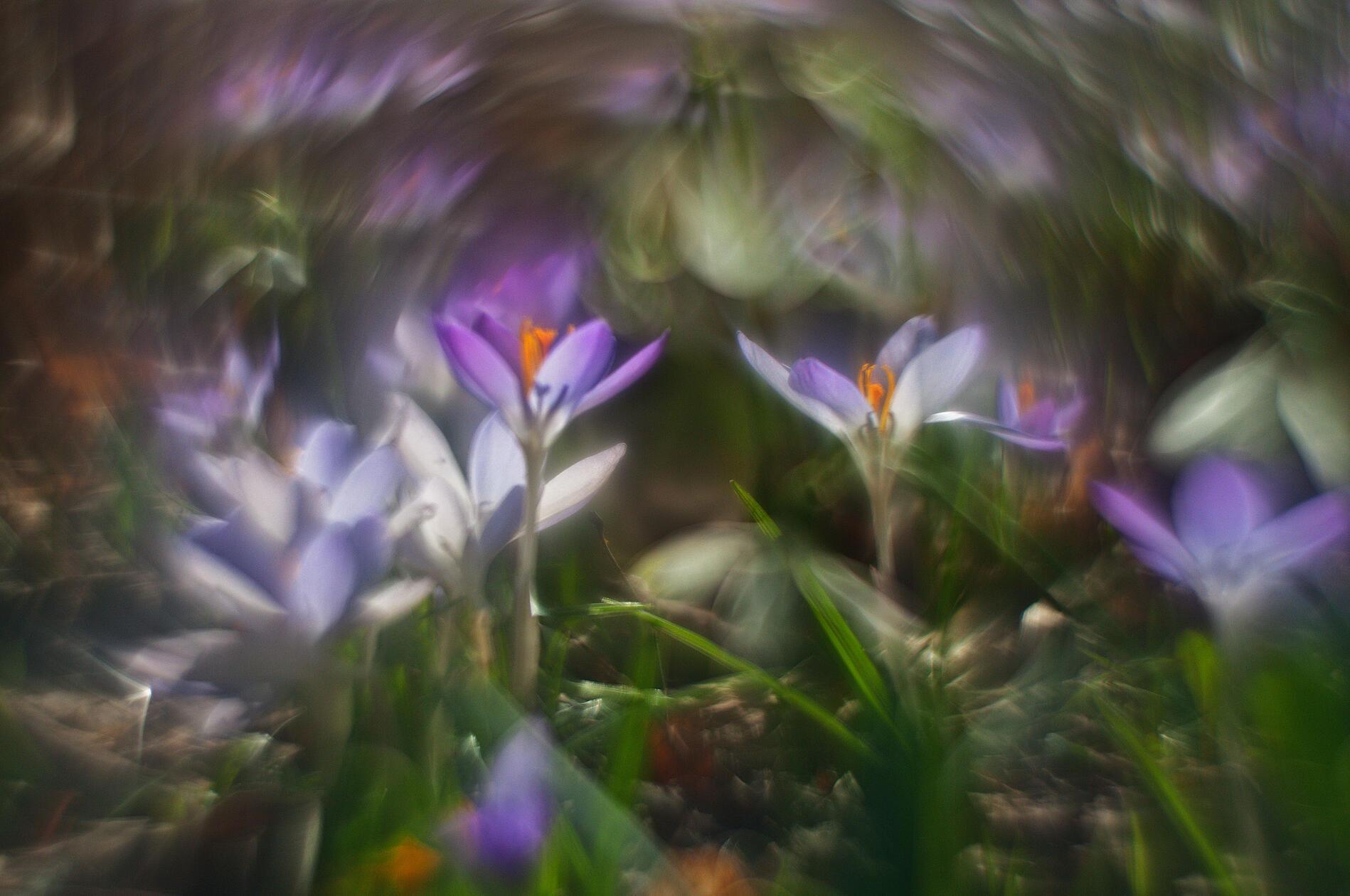 Mit einem Vintage-Objektiv hat unser Leser Theo Körner dieses Bild aufgenommen.