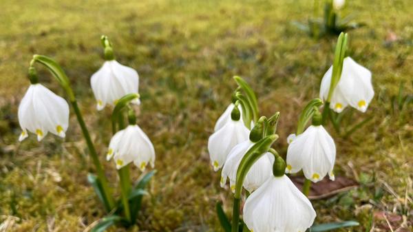 Diese Ma¨rzenbecher hat unsere Leserin Andrea Mertl entdeckt.
