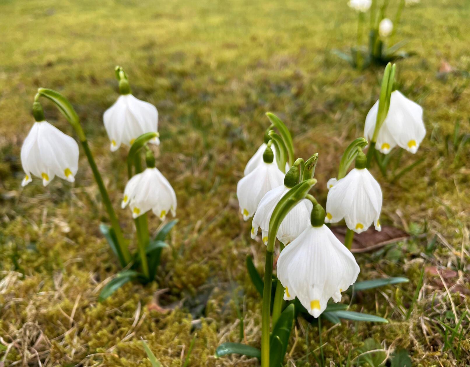 Diese Ma¨rzenbecher hat unsere Leserin Andrea Mertl entdeckt.