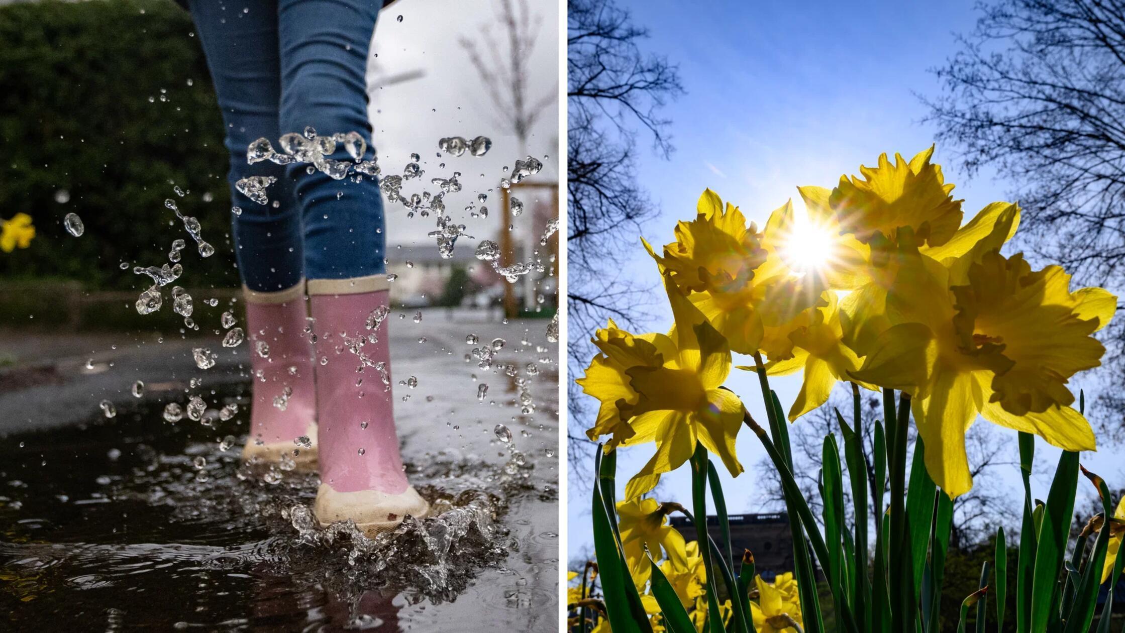 2026-03-30_12-28_collage