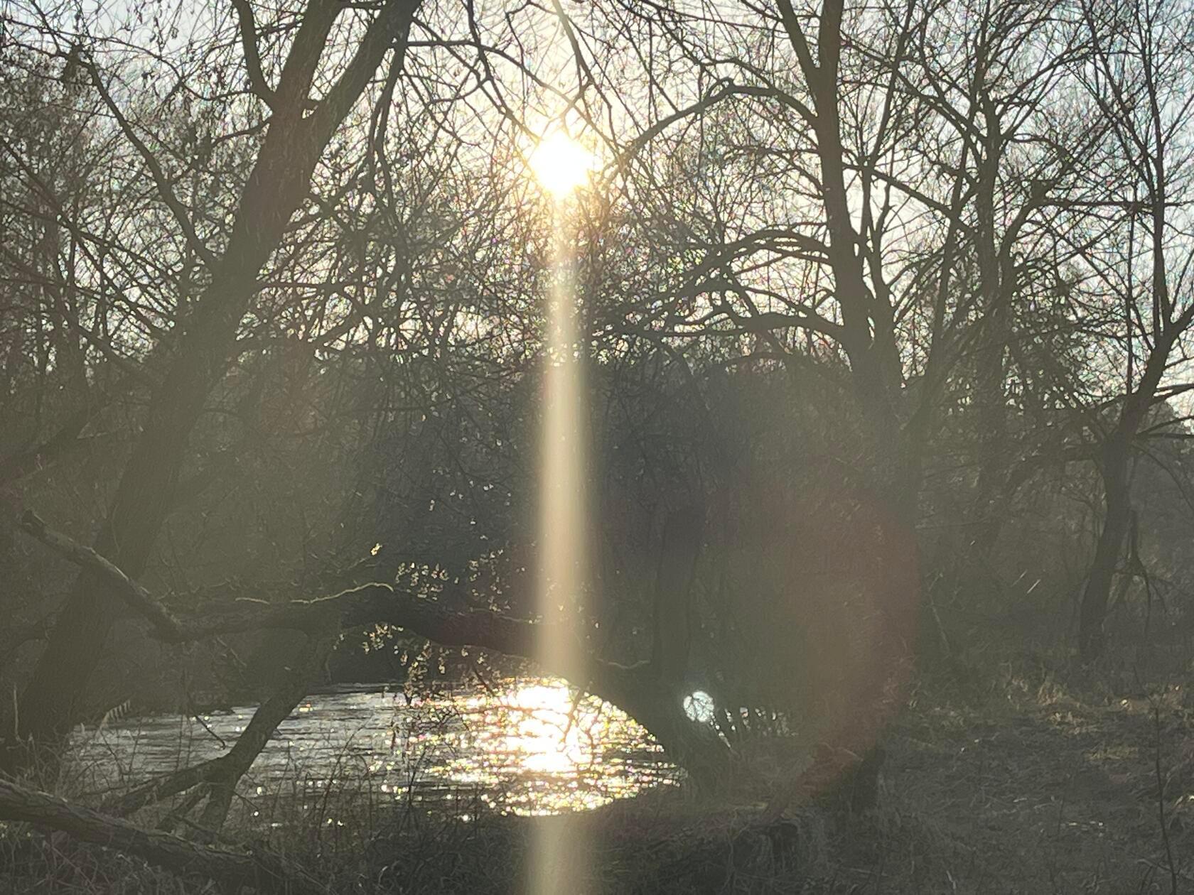 Sonnenuntergang über der Rednitz.