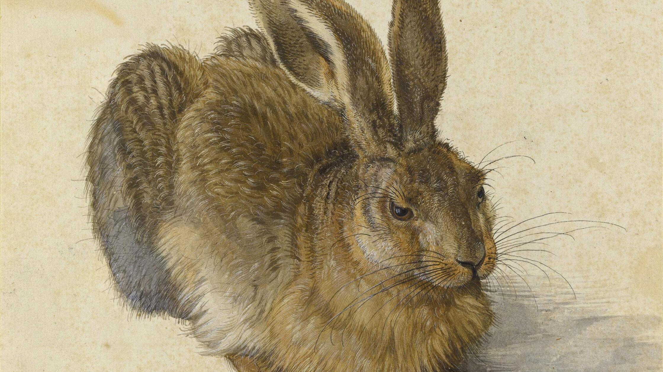 Albrecht Duerer (Dürer), deutscher Kuenstler (21.0