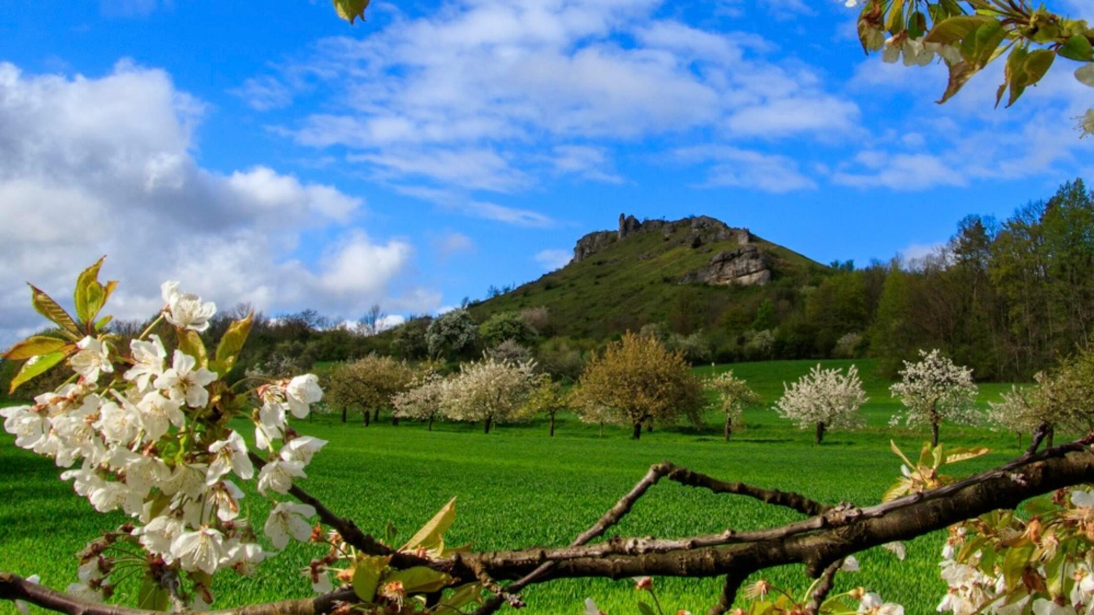 Unsere Leserin hat uns sonnig hübsche Impressionen vom Walberla geschickt.