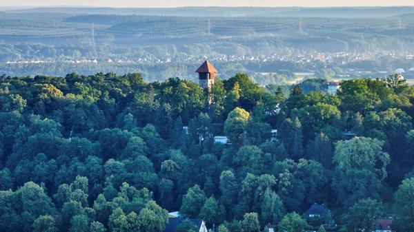 Die Stadtführung "Auf Entdeckungstour um den Erlan