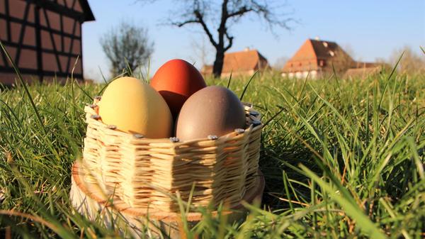 Mit einem Saatgutmarkt startete das Freilandmuseum vor kurzem in die neue Saison. Rund um Ostern lockt man mit weiteren Specials aufs Gelände. So findet am Freitag (14 Uhr) ein Passionsspiel statt. Karsamstag und Ostermontag öffnet ein Ostermarkt, während an Ostersonntag (9 bis 12 Uhr) eine große Ostereiersuche für Kinder steigt.