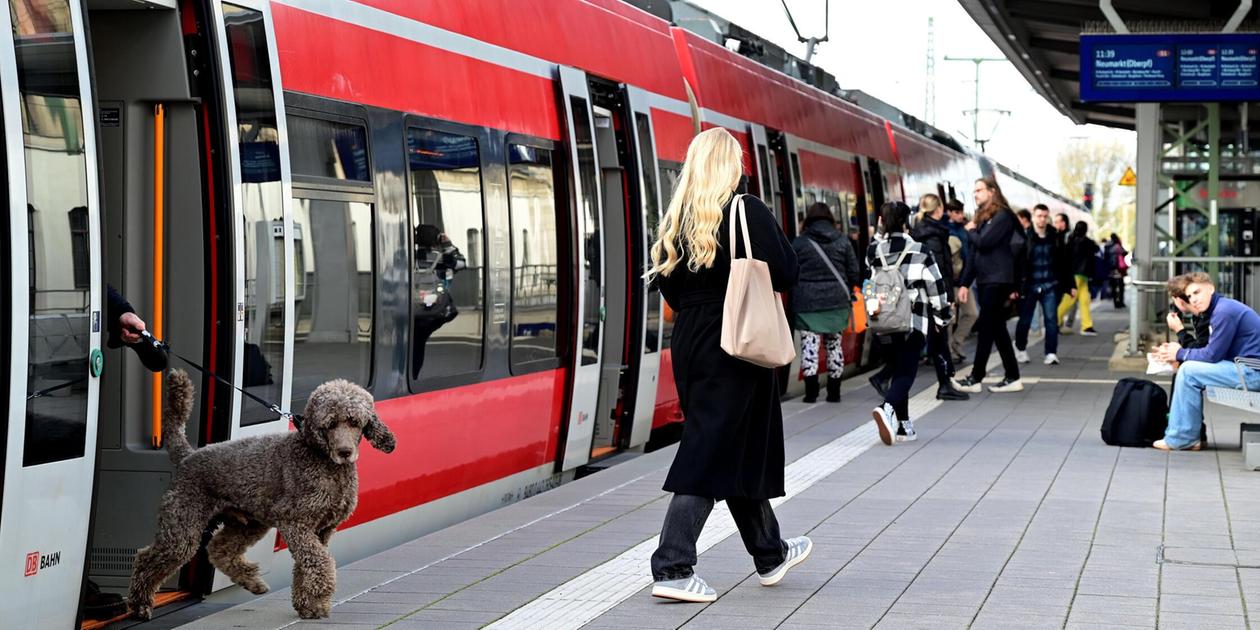 Who will soon operate the Nuremberg S-Bahn? The Free State sets ...