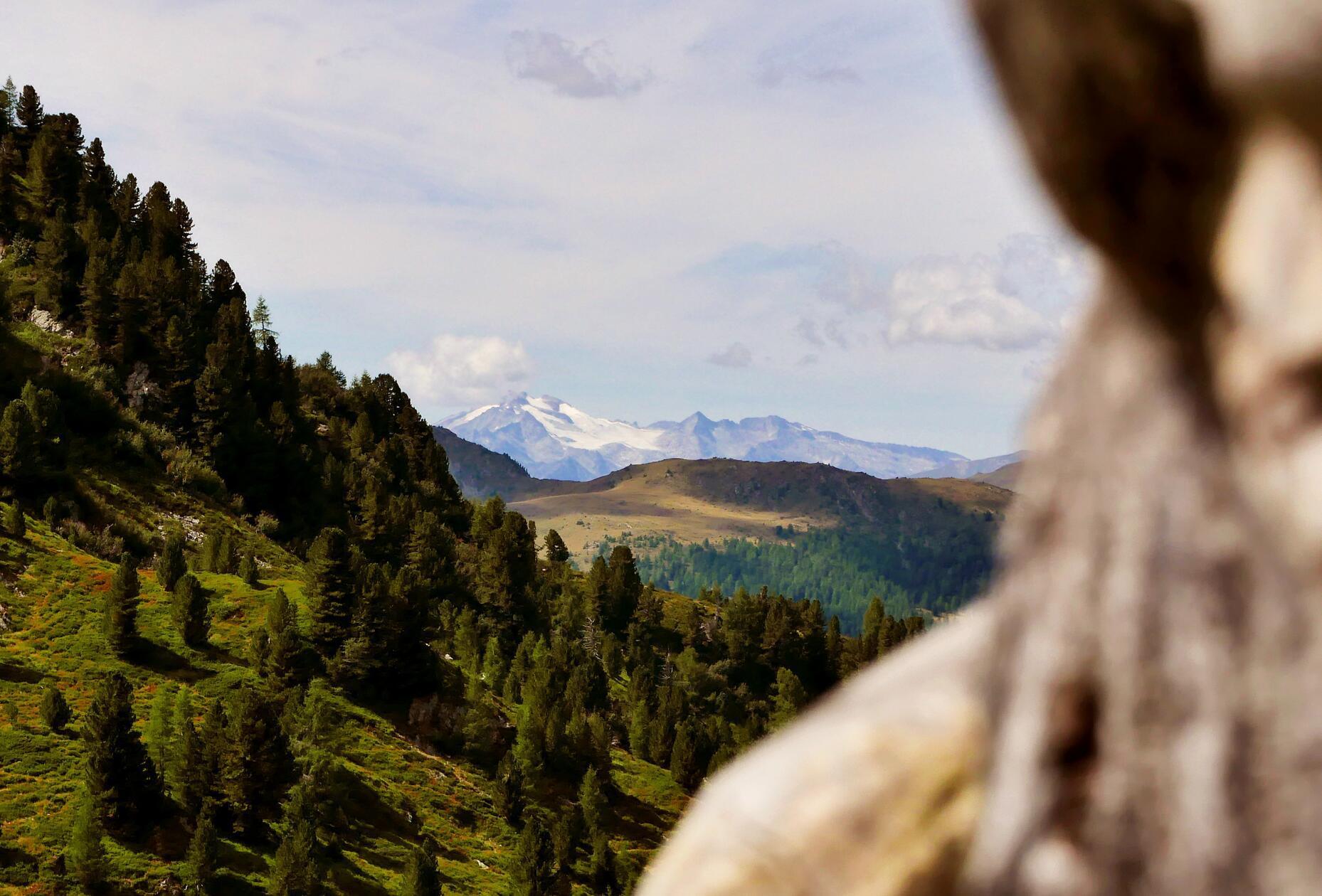 Bei unserer Wanderung haben wir diesen fantastischen Blick auf den Gletscher des Großglockners.