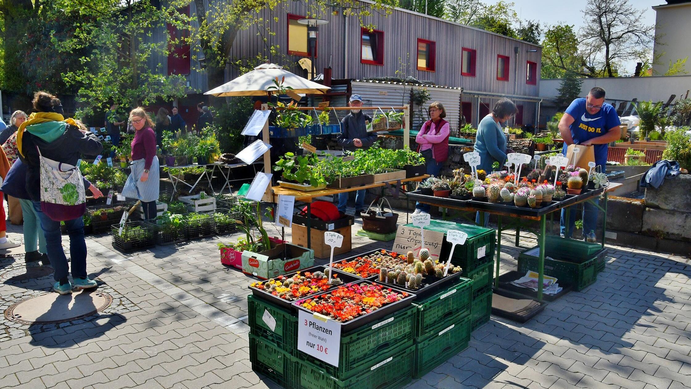 Die Pflanzenböres des Freundeskreis Botanischer Ga